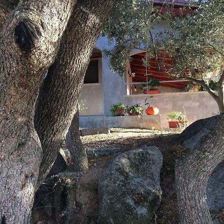 S'Umbra De S'Ozzastru Villa Orgosolo Bagian luar foto