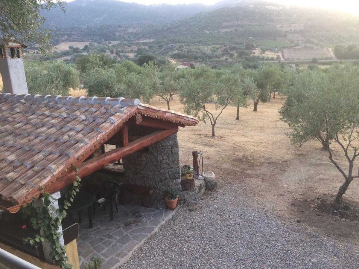 S'Umbra De S'Ozzastru Villa Orgosolo Bagian luar foto