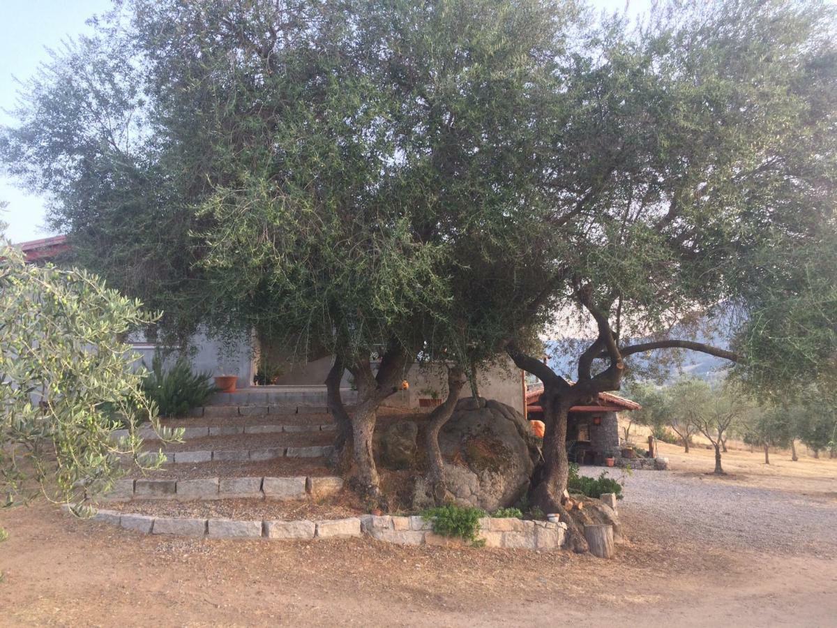 S'Umbra De S'Ozzastru Villa Orgosolo Bagian luar foto