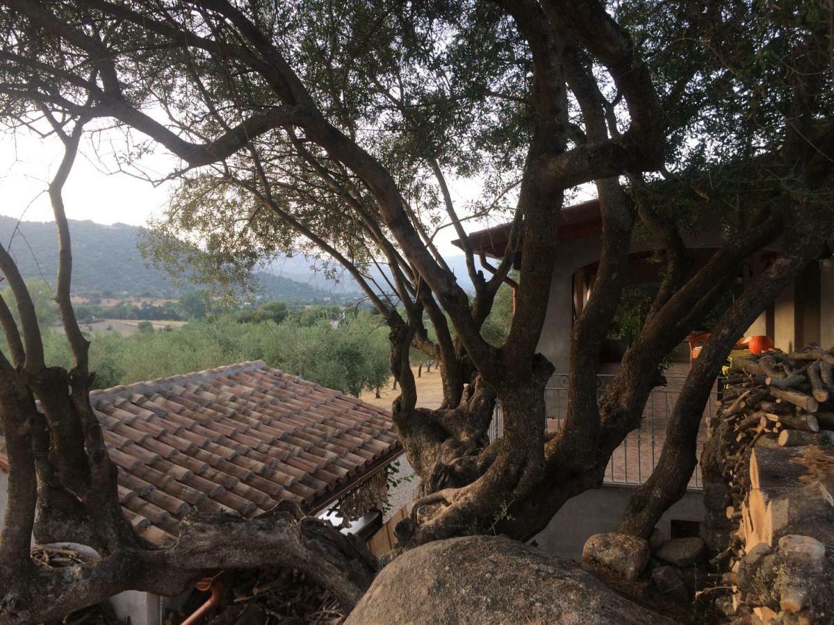 S'Umbra De S'Ozzastru Villa Orgosolo Bagian luar foto