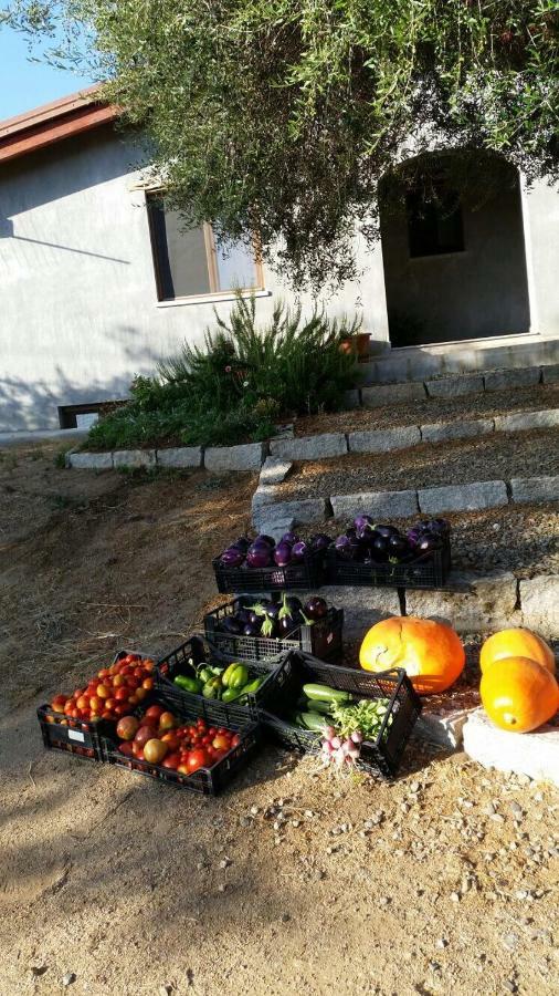 S'Umbra De S'Ozzastru Villa Orgosolo Bagian luar foto