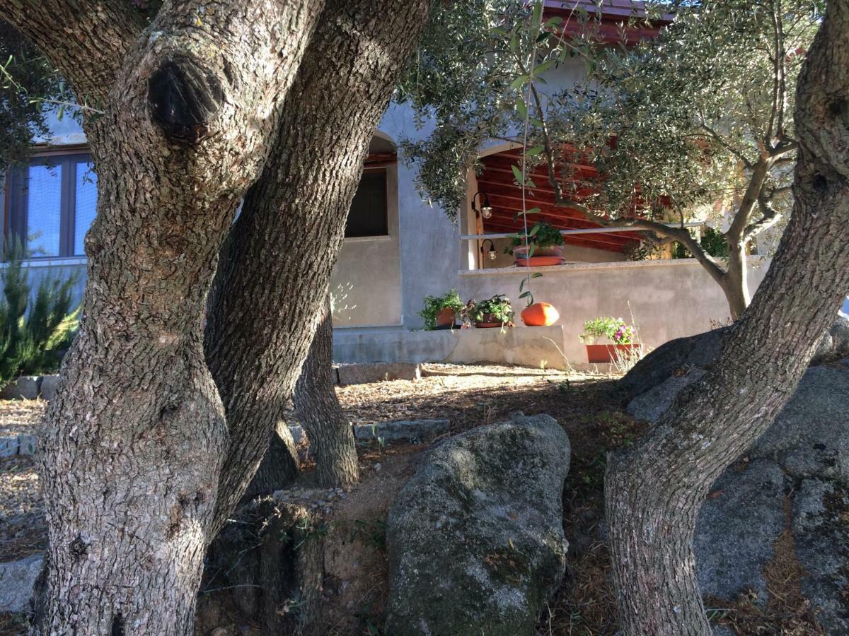 S'Umbra De S'Ozzastru Villa Orgosolo Bagian luar foto