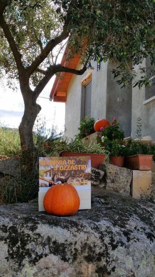 S'Umbra De S'Ozzastru Villa Orgosolo Bagian luar foto