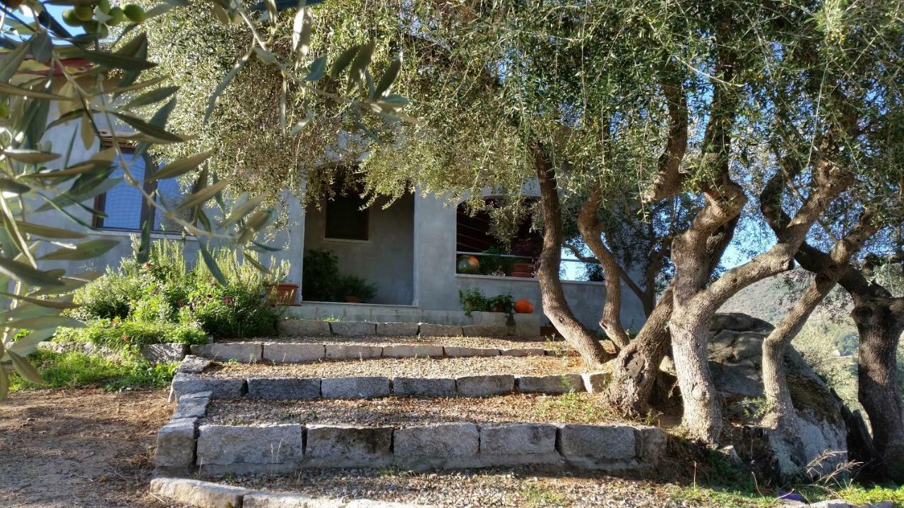 S'Umbra De S'Ozzastru Villa Orgosolo Bagian luar foto