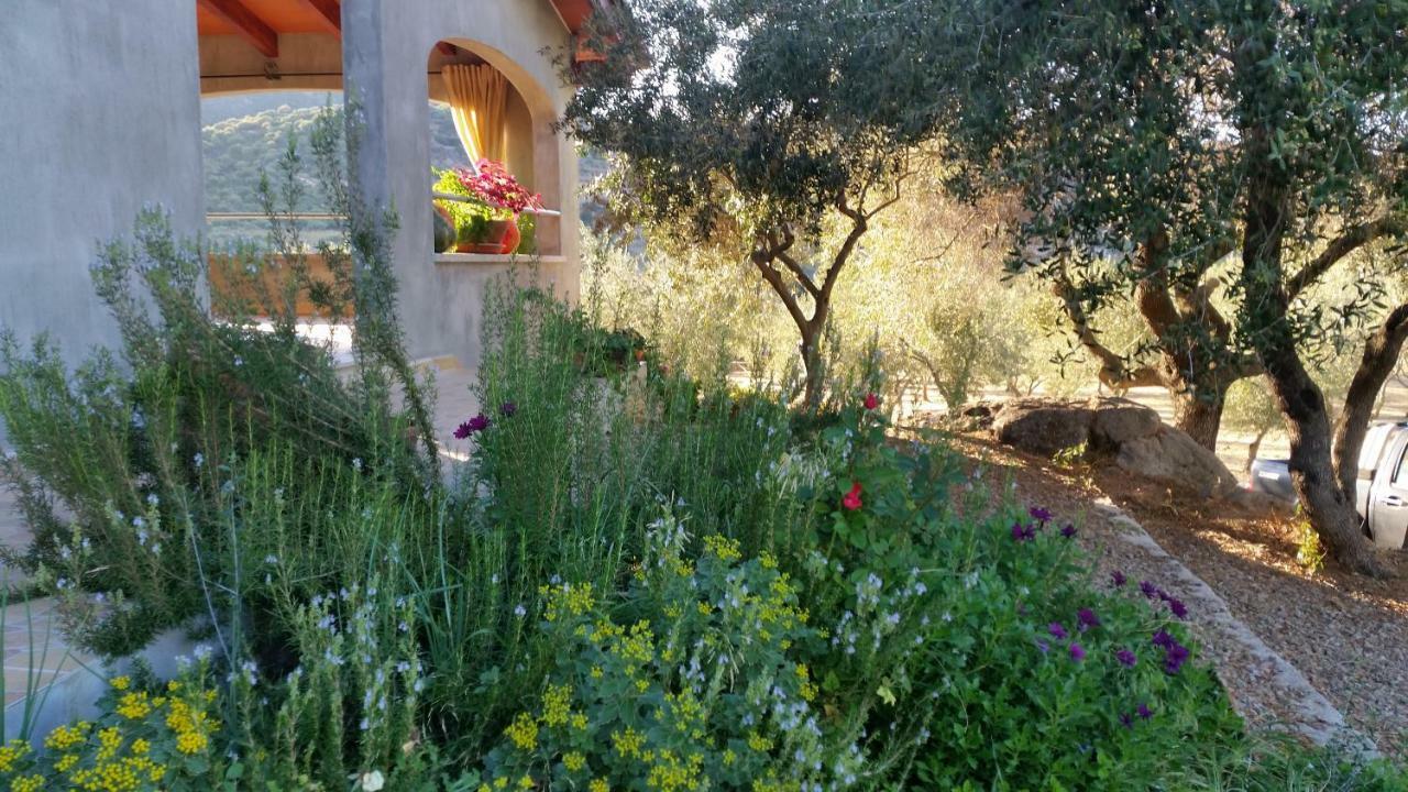 S'Umbra De S'Ozzastru Villa Orgosolo Bagian luar foto